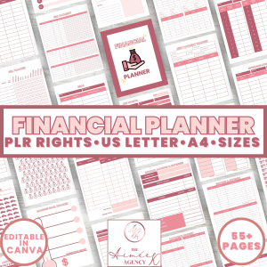 Chic Financial Planner - PLR Rights