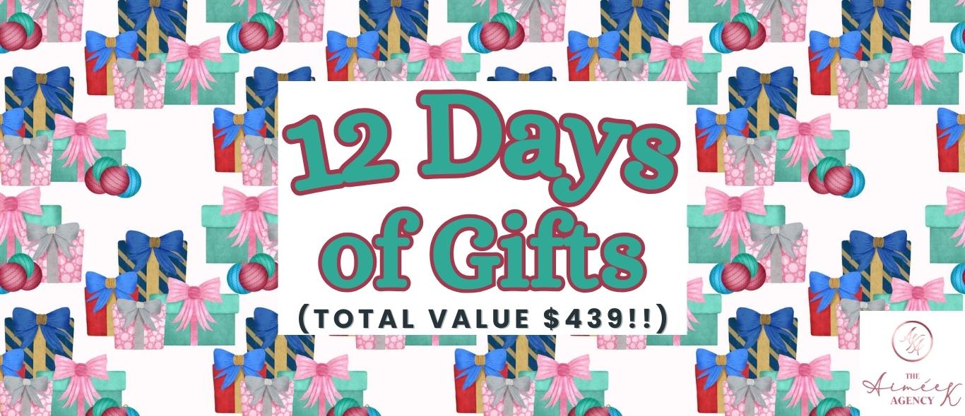 12 Days of Gifts- total value $439