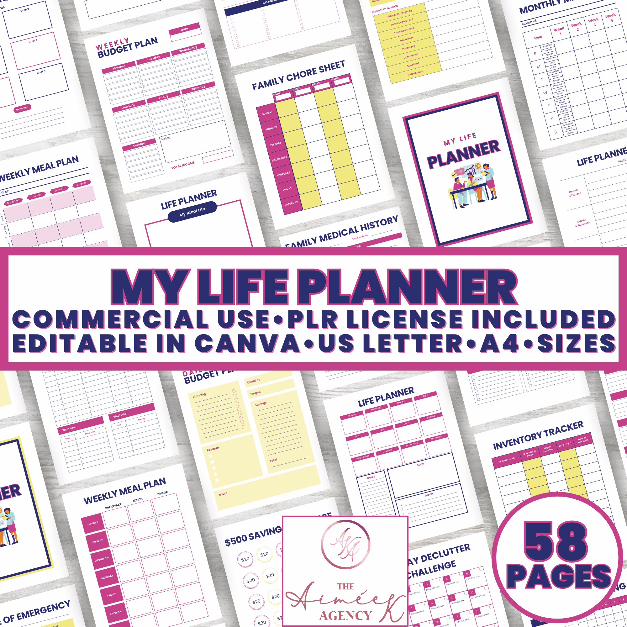 My Life Planner with PLR Rights from The Aimee K Agency