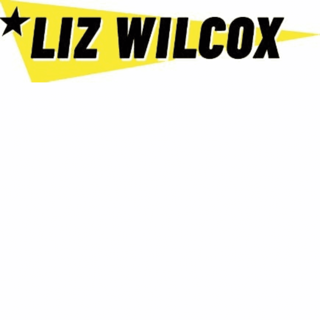 Free Email Swipes from Liz Wilcox