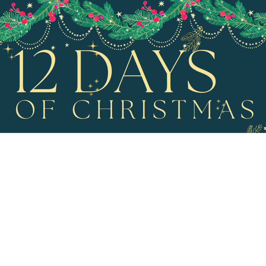 12 Days of Christmas Deals from Passive income journeys