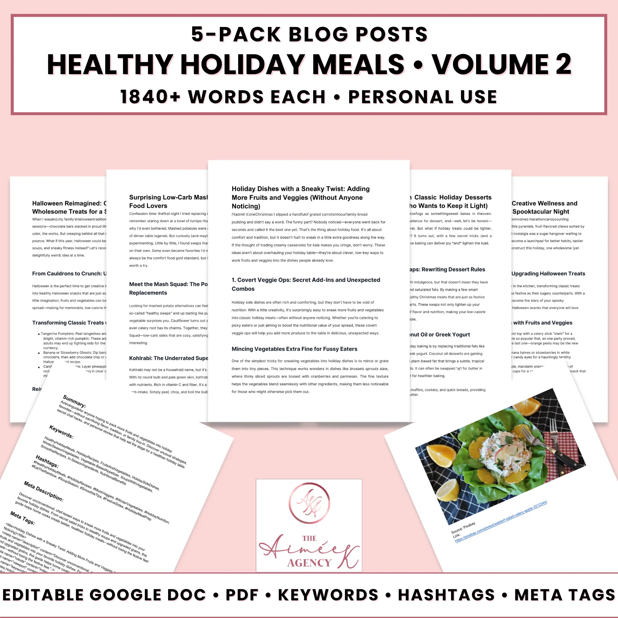 Preview of "Healthy Holiday Meals • Volume 2" Done For You Blog Posts pack, featuring five documents with titles, keywords, and a business logo, for personal use and digital download.